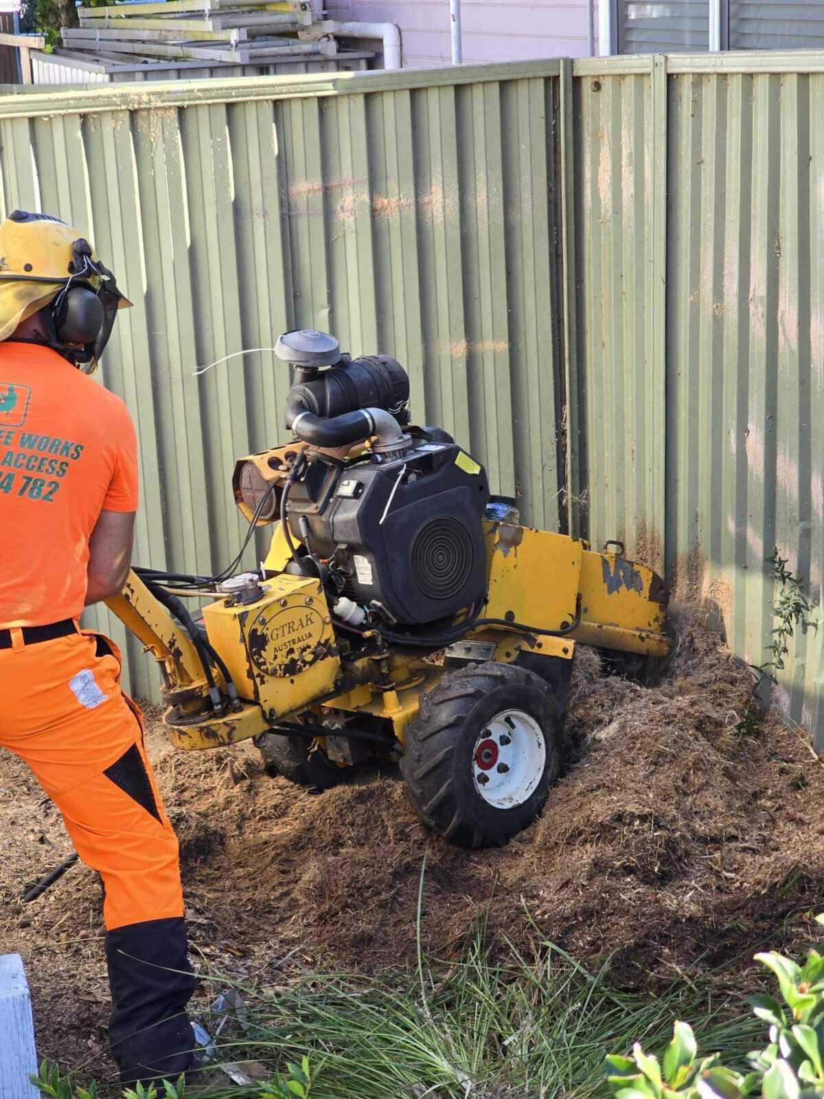 Leave a Review - ASET Tree Removal ☎️ 0425 455 321