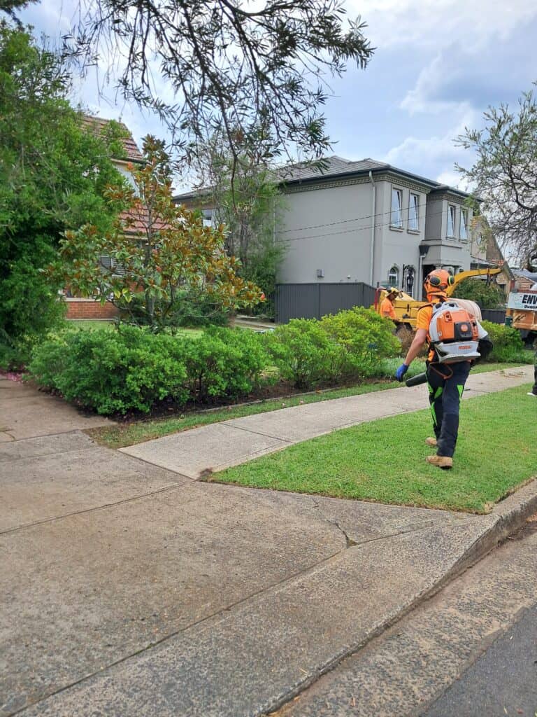 Team member working on tree removal in a residential area.