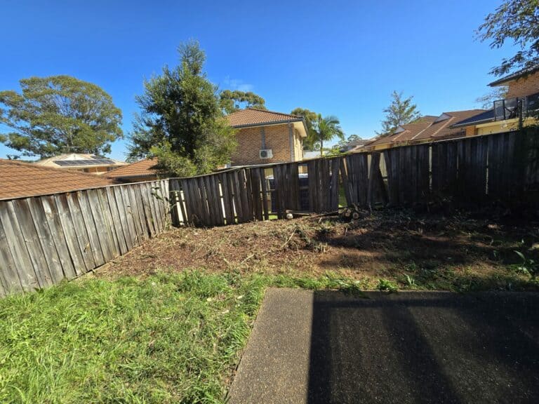 Cleared backyard area with a wooden fence and no visible vegetation.