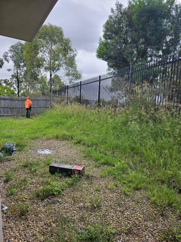 Worker in orange vest clearing bamboo and overgrown grass near a fence.