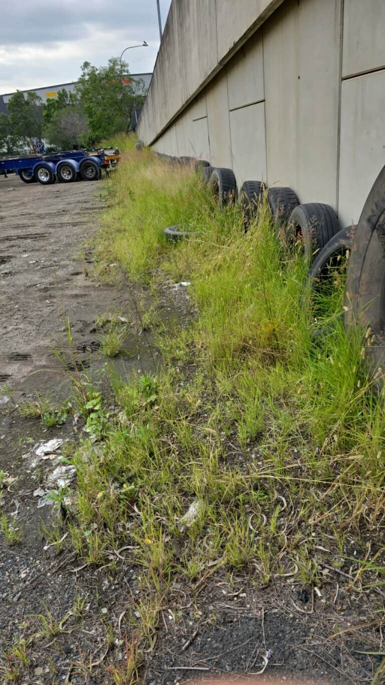 Overgrown area with tires and weeds along a concrete wall.