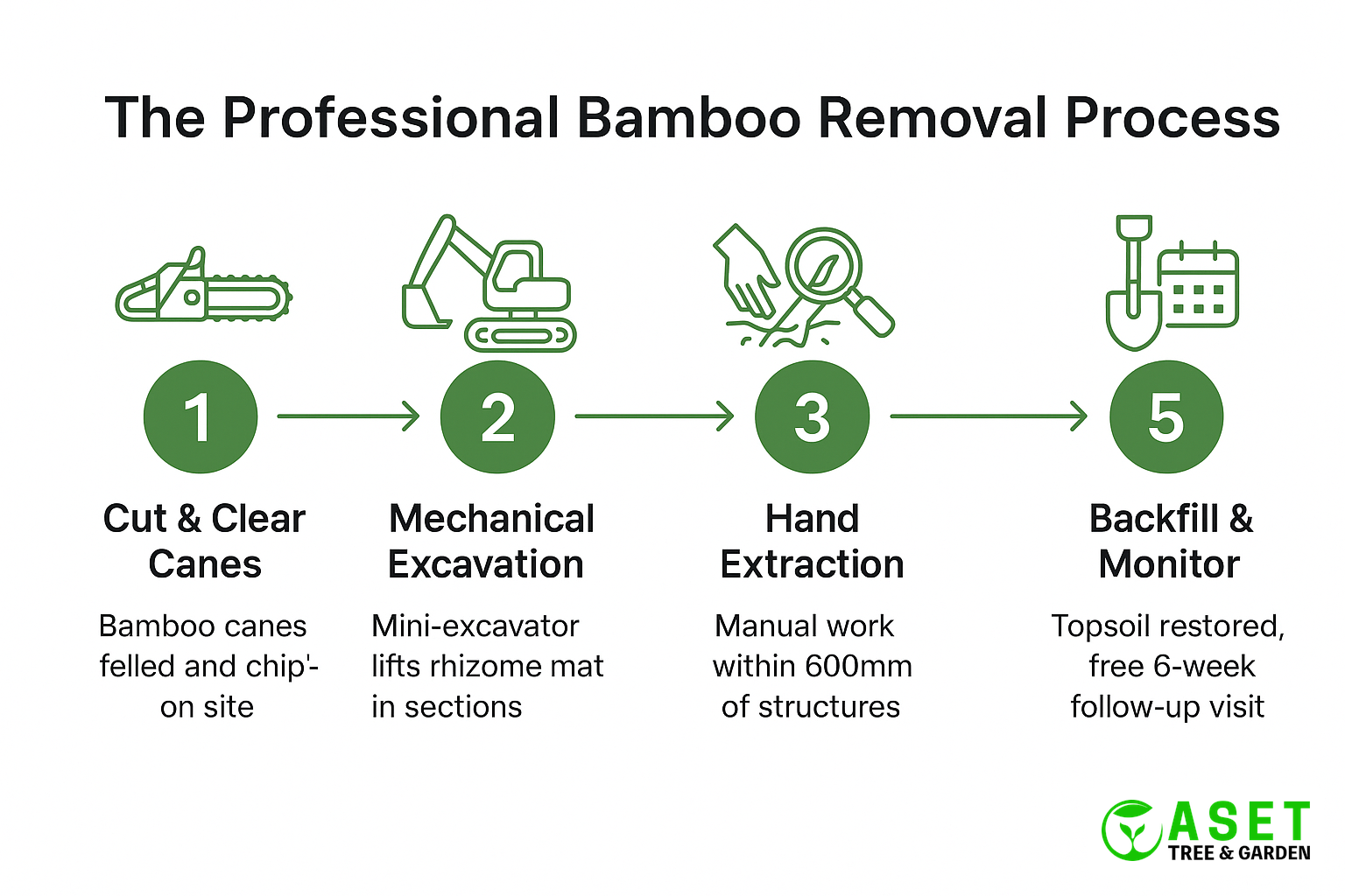 Five-step bamboo removal process flowchart: 1 Cut and clear canes, 2 Mechanical excavation, 3 Hand extraction near structures, 4 Inspection and treatment, 5 Backfill and monitor