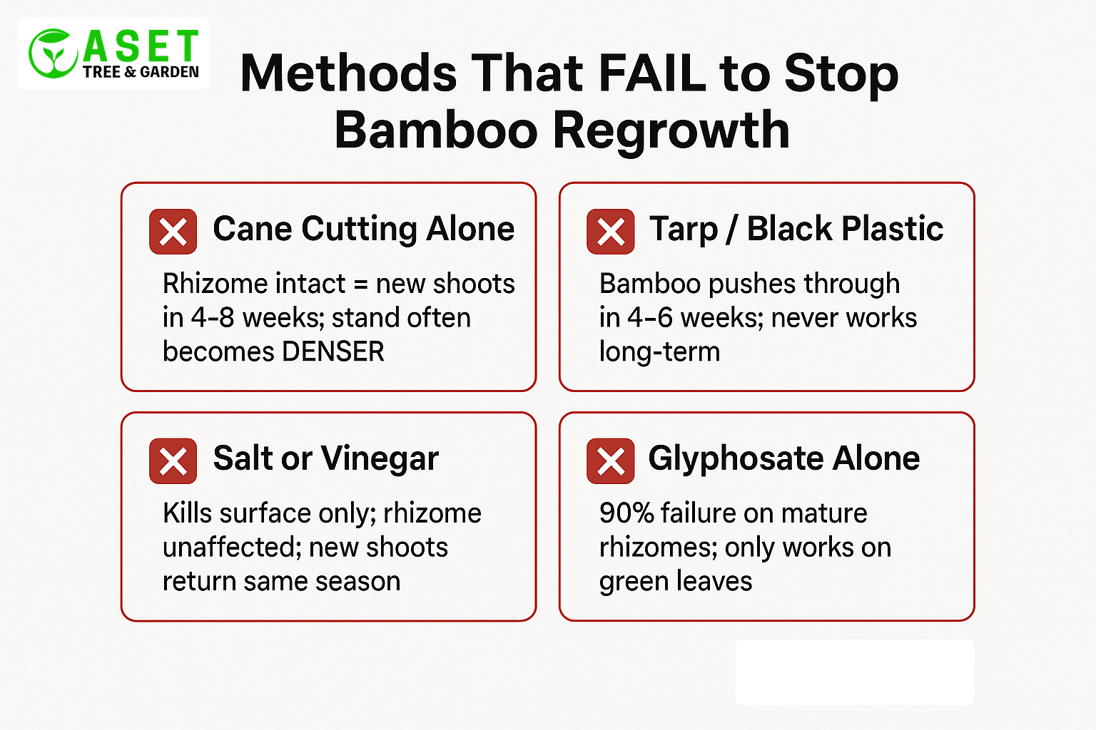 Four methods that fail to stop bamboo regrowth