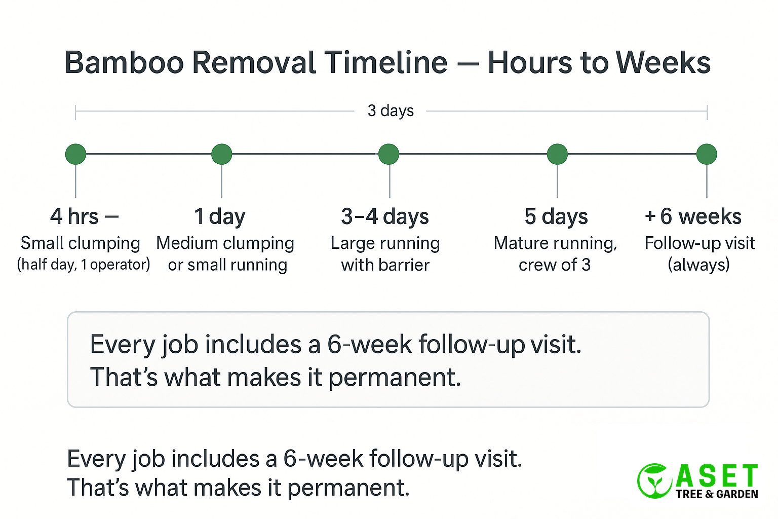 Timeline showing bamboo removal duration from 4 hours to 5 days plus 6 week follow-up
