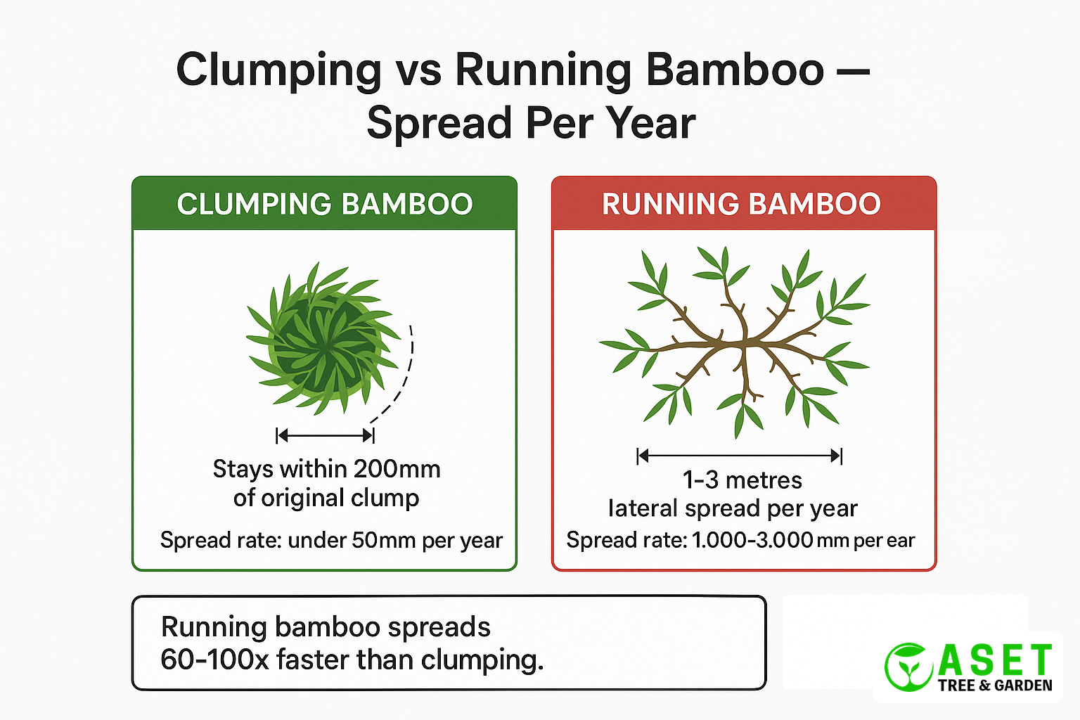 Clumping vs running bamboo — annual spread rate comparison