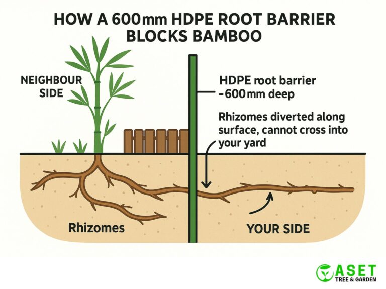 Bamboo root barrier installation Sydney — cross section diagram