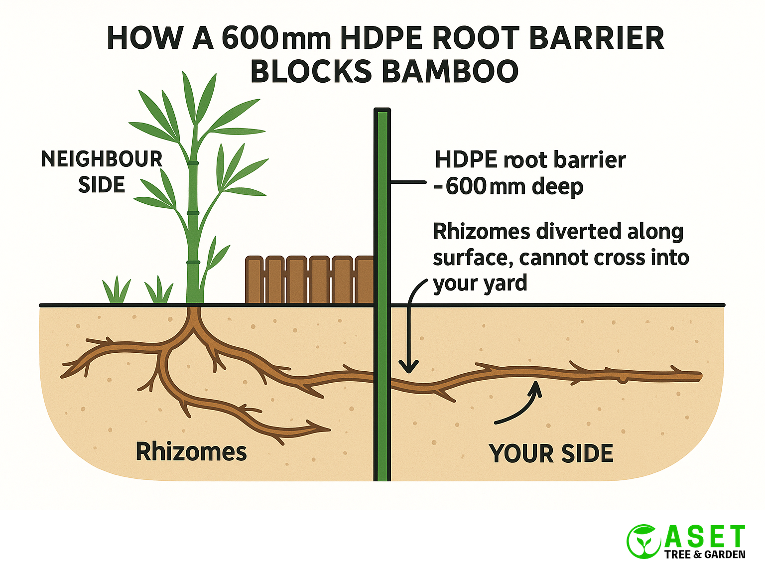 Cross-section showing how a 600mm HDPE root barrier blocks bamboo rhizomes