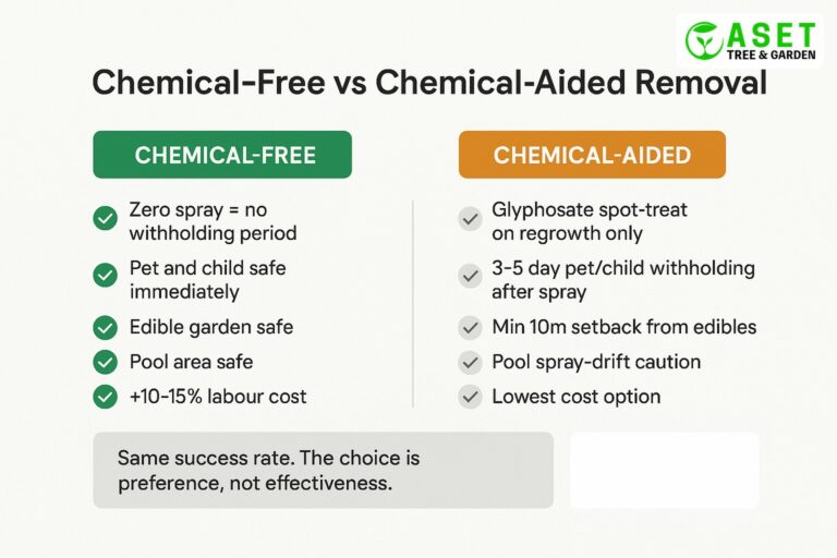 Bamboo removal without chemicals Sydney — chemical vs chemical-free method comparison