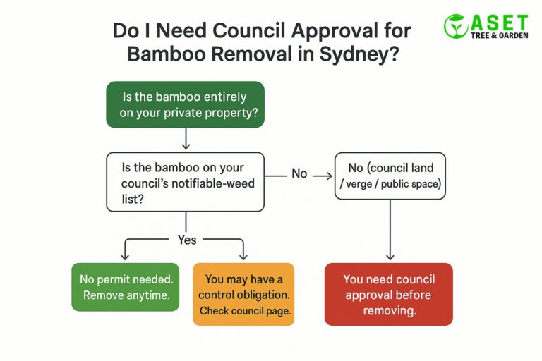 Council approval for bamboo removal Sydney — when permit is required decision tree