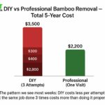 DIY vs professional bamboo removal Sydney — five-year cost comparison