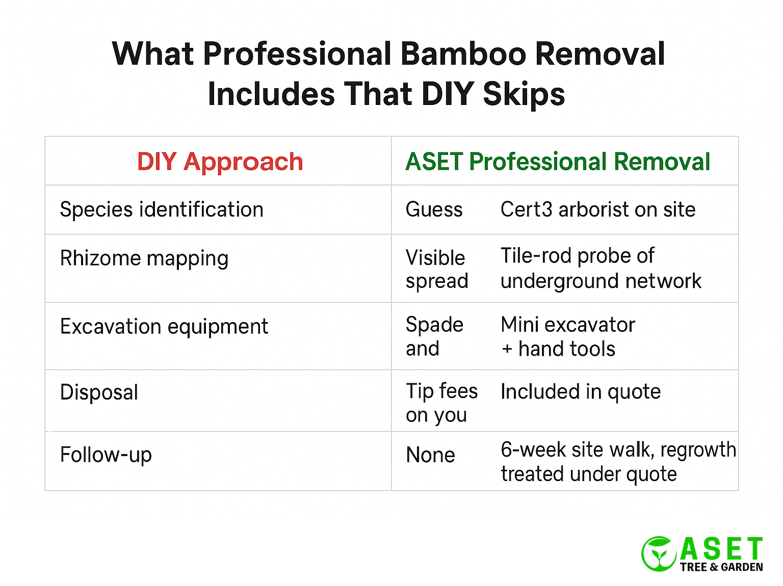 Side-by-side comparison of DIY approach versus ASET professional bamboo removal across five aspects