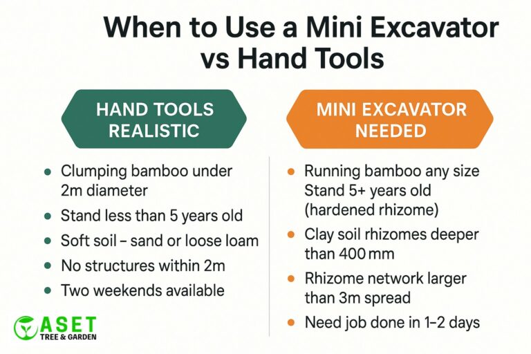 When to use a mini excavator for bamboo removal Sydney — decision guide