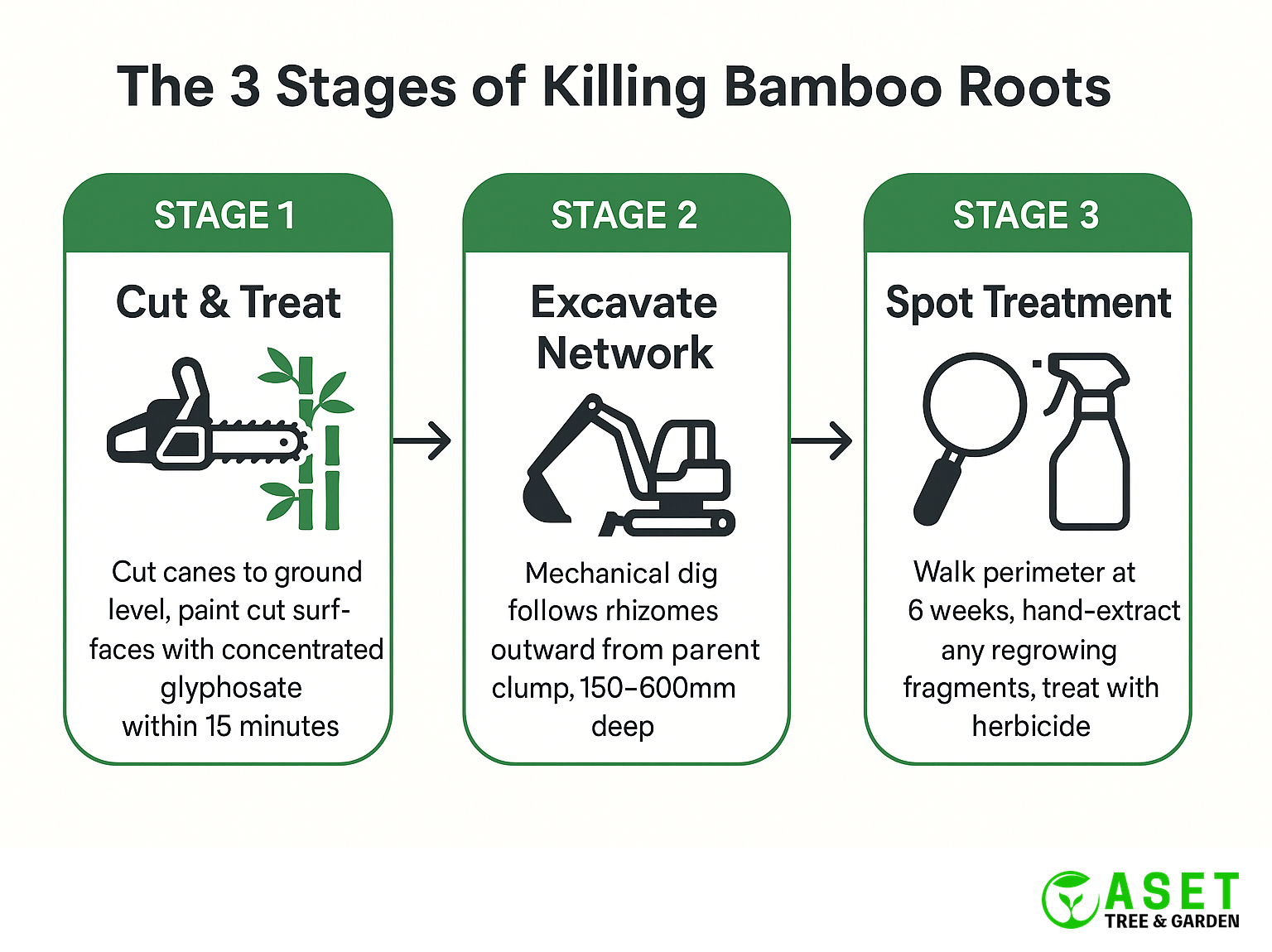 Three-stage process for killing bamboo roots: cut and treat, excavate network, spot treatment at 6 weeks