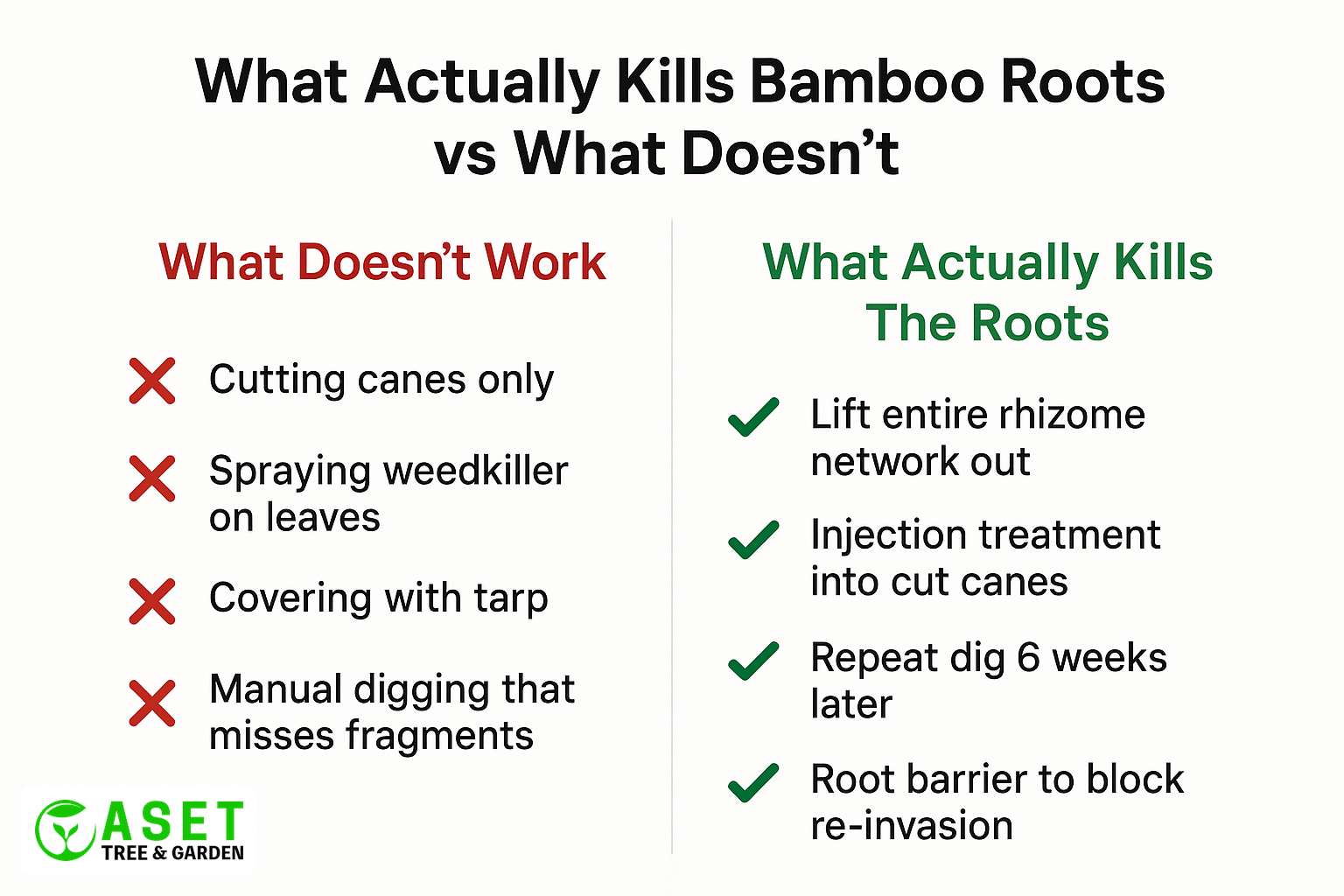 Comparison infographic showing what kills bamboo roots vs what doesn't work