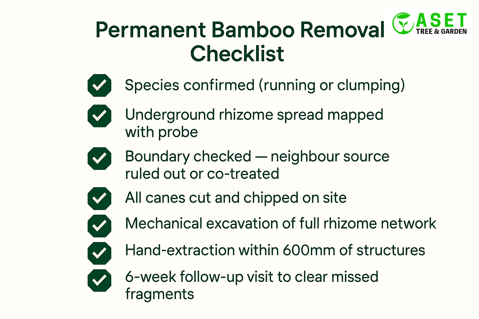 7-step permanent bamboo removal checklist with green checkmarks